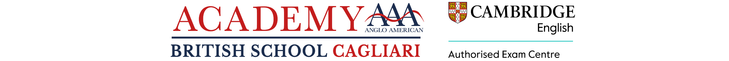 Anglo American Academy